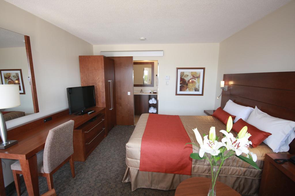 Motel Adam ガティノー 部屋 写真