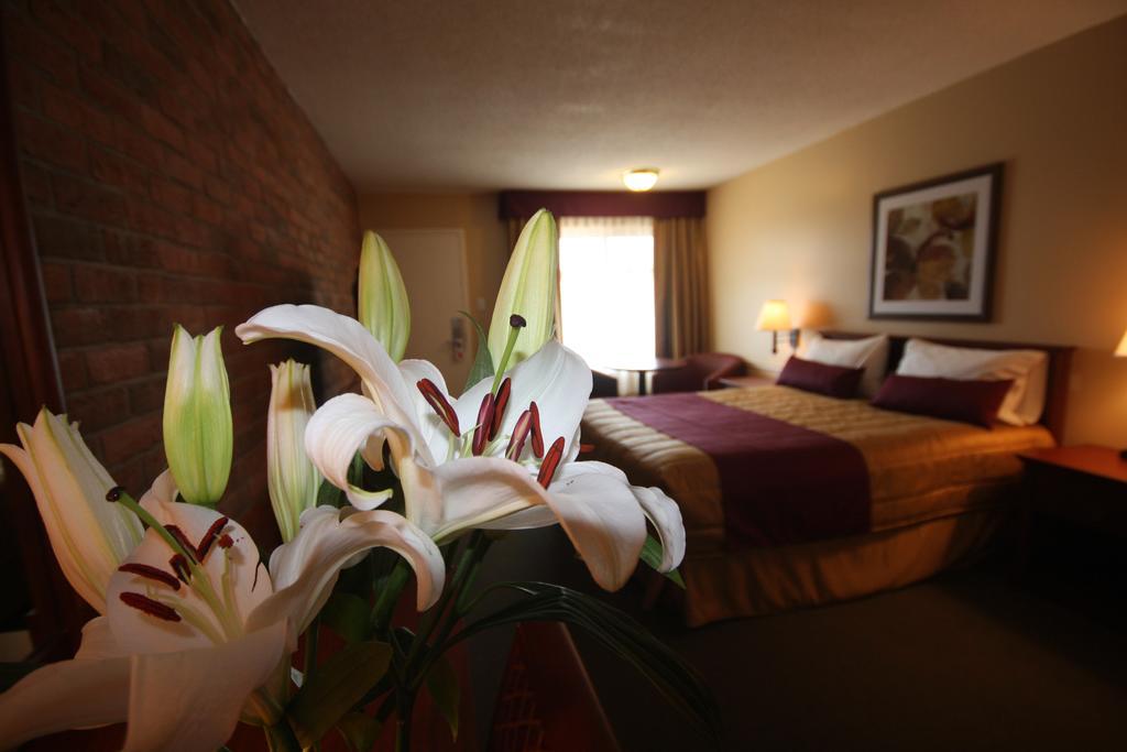Motel Adam ガティノー 部屋 写真