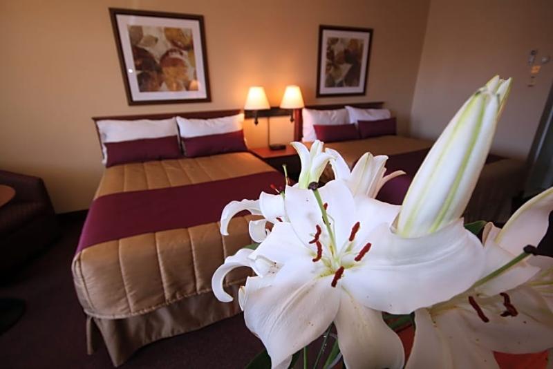 Motel Adam ガティノー エクステリア 写真